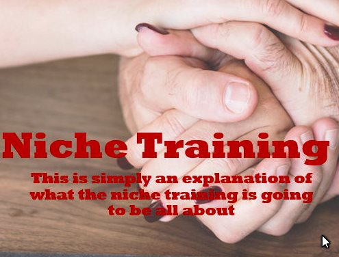What to expect inside the training – Niche training